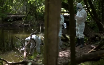 Stock Video Collecting Water Samples From Polluted Lake For PC