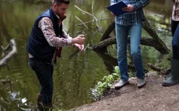 Stock Video Collecting Samples From Polluted Lake For PC