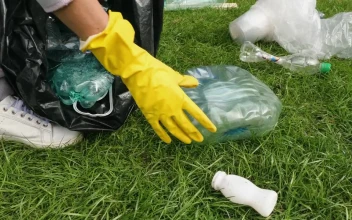 Stock Video Collecting Plastic Garbage From The Ground For PC