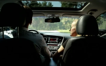 Stock Video Colleagues Talking During A Trip For PC