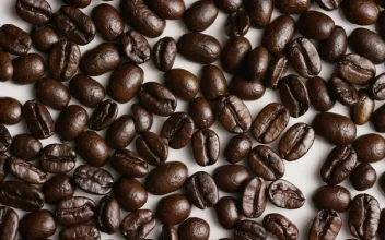 Stock Video Coffee Beans Rotating On White Surface For PC
