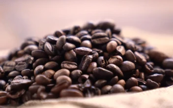 Stock Video Coffee Beans Rotating Close Up Shot For PC