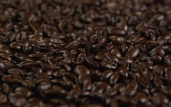 Stock Video Coffee Beans Ready For Brewing For PC