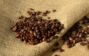 Stock Video Coffee Beans On A Sack For PC
