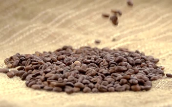 Stock Video Coffee Beans Falling Over A Sack For PC