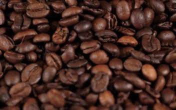 Stock Video Coffee Beans Falling In Reverse For PC