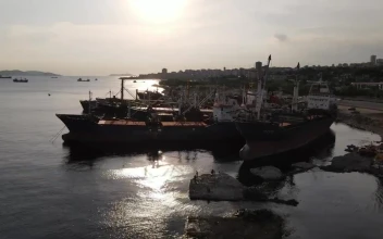 Stock Video Coastline Packed With Cargo Ships And Seagulls For PC