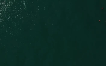 Stock Video Coastal Houses By A Road For PC