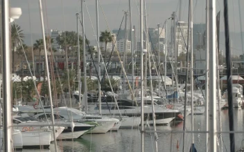Stock Video Coast Covered By Masts Boats And Small Yachts For PC