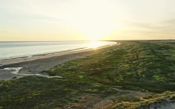 Stock Video Coast At Sunrise For PC