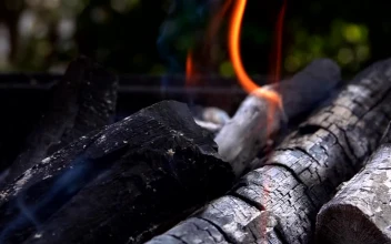 Stock Video Coal Covered In Ash On A Roast For PC