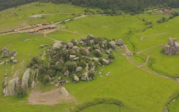Stock Video Cluster Of Rocks In The Center Of A Huge Meadow For PC