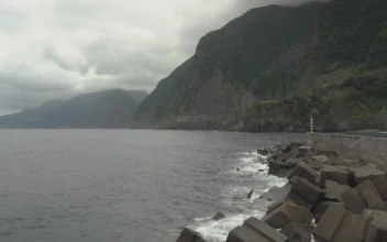 Stock Video Cloudy Seashore Landscape For PC