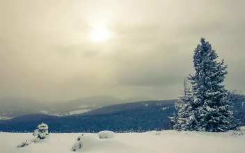 Stock Video Cloudy And Foggy Landscape While Snowing For PC