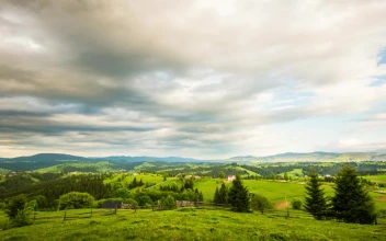 Stock Video Cloudy Afternoon Over The Meadow For PC