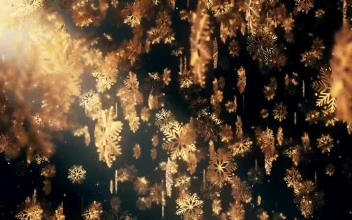 Stock Video Falling Golden Snowflakes With Black Background For PC