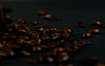 Stock Video Falling Coffee Beans Against A Dark Background For PC