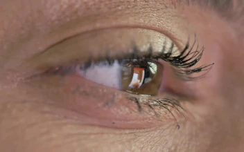 Stock Video Eye Of A Woman Looking At A Tablet For PC