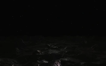 Stock Video Exploring An Alien Planet In The Dark For PC