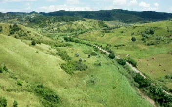 Stock Video European Countryside In Cinematic Drone Flyover For PC