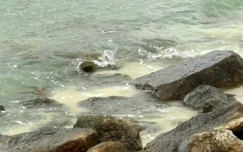 Stock Video Eroded Rocks By The Ocean For PC