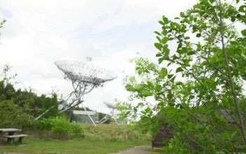 Stock Video Environment In A Meadow With Many Large Antennas For PC