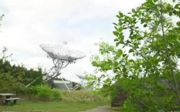 Stock Video Environment In A Meadow With Many Large Antennas  Smal For PC