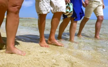 Stock Video Enjoying Warm Weather As A Family For PC