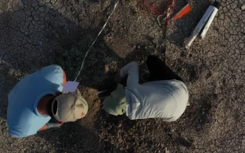 Stock Video Engineers Digging In The Sand For PC