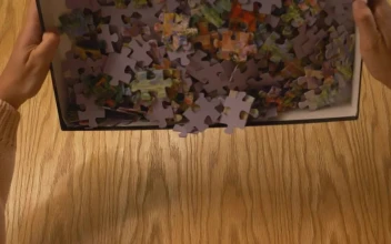 Stock Video Emptying A Box With Puzzle Pieces For PC