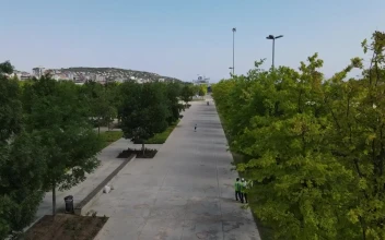 Stock Video Empty Path In A Park During A Sunny Day For PC