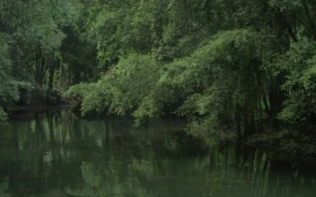 Stock Video Empty Boat On A River In Vietnam For PC