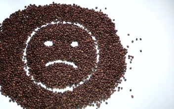 Stock Video Emotional Coffee Beans For PC