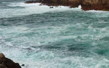 Stock Video Emerald Waters Along The Coast For PC