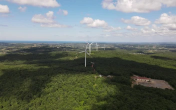 Stock Video Electricity Production Field With Wind Turbines For PC