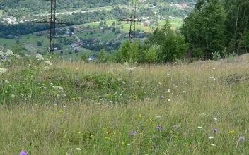 Stock Video Electrical Wiring Towers In The Countryside For PC