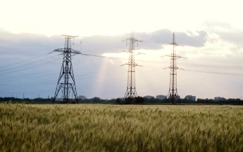 Stock Video Electric Towers In A Wheat Field For PC