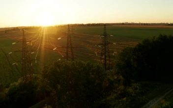 Stock Video Electric Power Lines In The Field At Sunset For PC
