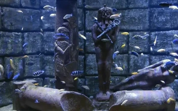 Stock Video Egyptian Statues Underwater Surrounded By Fish For PC
