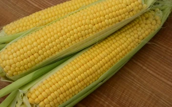 Stock Video Ears Of Corn Turning On A Wooden Surface For PC