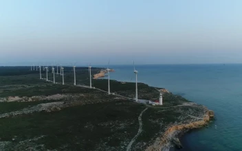 Stock Video Early Morning By A Wind Farm For PC