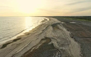 Stock Video Early Morning At The Beach For PC