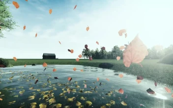 Stock Video Dry Tree Leaves Falling Into The Water From A Pond For PC