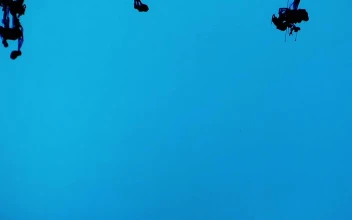 Stock Video Drops Of Blue Ink Are Immersed In Water For PC