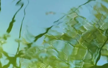 Stock Video Drops Falling Into The Water Of A Pond For PC