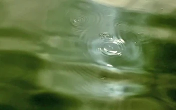 Stock Video Drops Across A Shallow Lake For PC