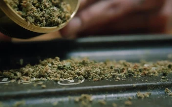 Stock Video Dropping Weed From A Grinder For PC
