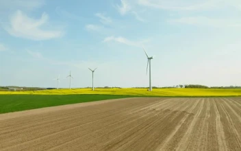 Stock Video Drone Flying Past Wind Turbines For PC