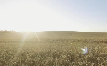 Stock Video Drone Flying Over The Countryside For PC