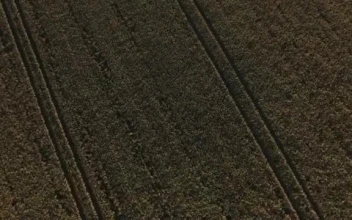 Stock Video Drone Flying Over Large Fields  Smal For PC